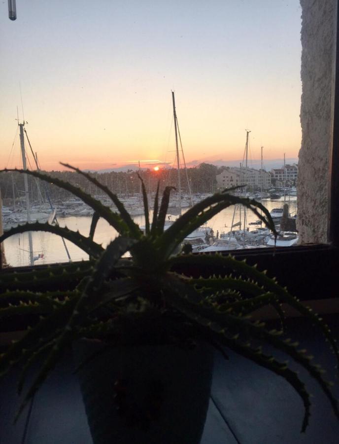 Petit Cocon Magnifique Vue Sur Marina Dans Le Golfe De Saint Tropez Apartman Cogolin Kültér fotó