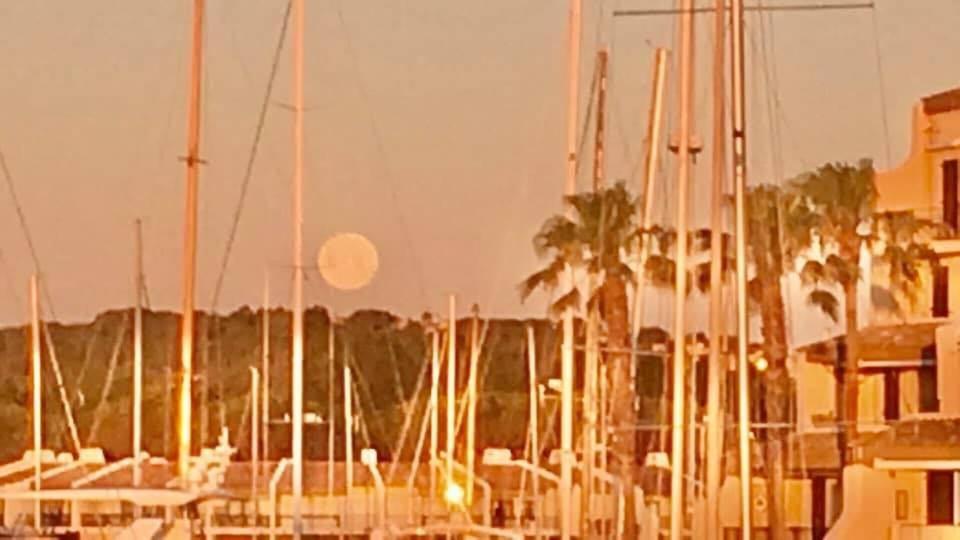 Petit Cocon Magnifique Vue Sur Marina Dans Le Golfe De Saint Tropez Apartman Cogolin Kültér fotó